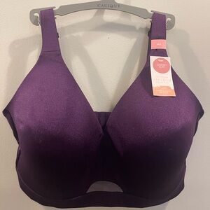 Lane Bryant Cacique Bra NWTs 40G Purple Plum